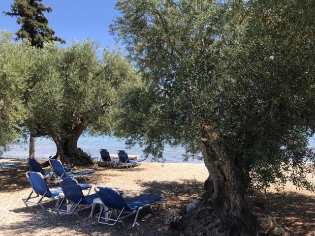 Kalimera Apartments Kivérion エクステリア 写真